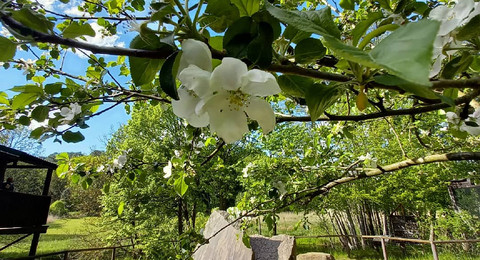Tierpark Kunsterspring