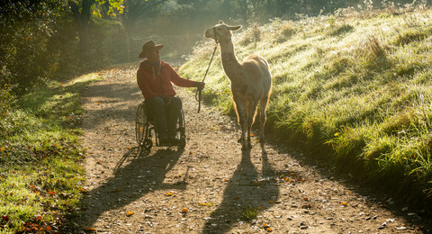 Pfalz Lamas Annweiler am Trifels Rollstuhlfahrer bei einer Lama-Wanderung