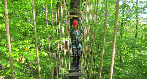 Kletterwald Königstein ein Kletterparcour im Kletterwald Königstein