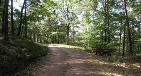 Wanderweg Johannesbrunnen © Christian Bohr Wanderweg Johannesbrunnen