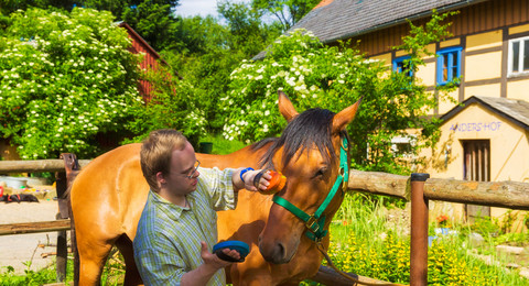 Anders-Hof in Ehrenberg Reiten und Pferde beteruen auf dem Anders-Hof