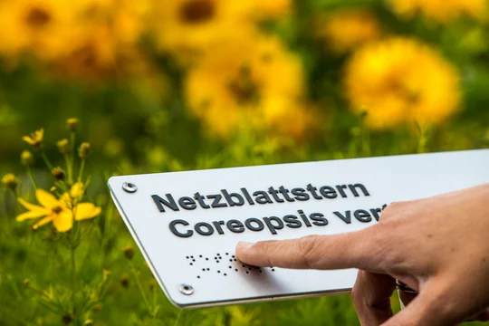 Im Duft- und Tastgarten im egapark erklären Fühltafeln in Brailleschrift die Pflanzen. Im Duft- und Tastgarten im egapark erklären Fühltafeln in Brailleschrift die Pflanzen.