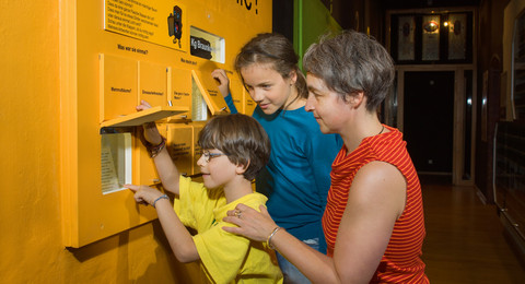 Schloss und Festung Senftenberg Familie in der Ausstellung in Schloss und Festung Senftenberg