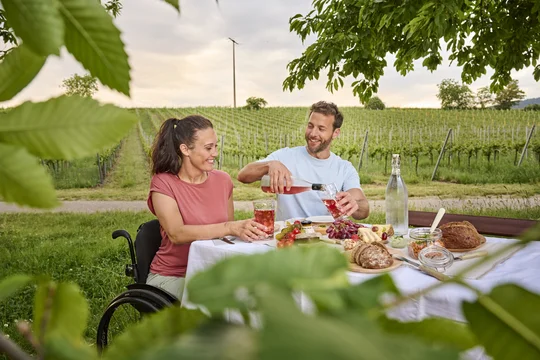 SÜW Picknick in den Weinbergen 