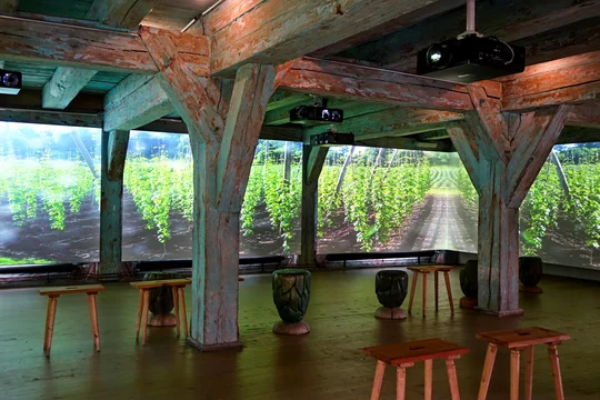 Im virtuellen Hopfengarten im Museum HopfenBierGut wird der Lebenszyklus des Hopfens erklärt. Im virtuellen Hopfengarten im Museum HopfenBierGut wird der Lebenszyklus des Hopfens erklärt.