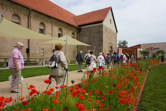 BUGA-Führung auf dem Petersberg 2021 BUGA-Führung auf dem Petersberg 2021
