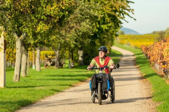 Handbiketour auf dem Biblischen Weinpfad zu Kirrweiler. Handbiketour auf dem Biblischen Weinpfad zu Kirrweiler.