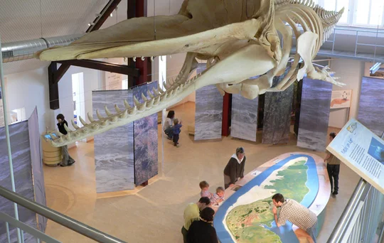 Das Nationalpark-Haus Wittbülten auf der Insel Spiekeroog