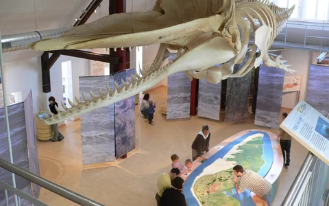 Das Nationalpark-Haus Wittbülten auf der Insel Spiekeroog