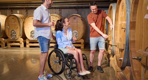 Kellerführung im Weingut Bernhard Koch in Hainfeld.