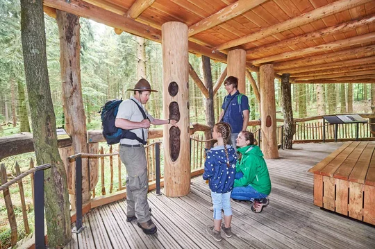 Der Wilde Weg im Nationalpark Eifel informiert über Wildnis und Waldentwicklung.