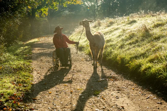 Rollstuhlfahrer bei einer Lama-Wanderung