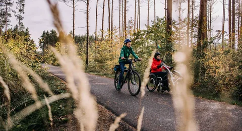 Das Lausitzer Seenland zwischen Berlin und Dresden ist ein Paradies für Handbiker. Das Lausitzer Seenland zwischen Berlin und Dresden ist ein Paradies für Handbiker.
