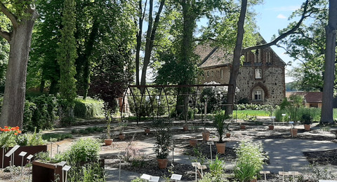 Garten des Buches