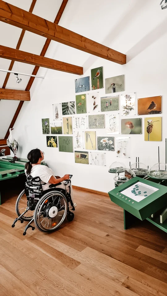 Rheinland-pfälzisches Storchenzentrum Bornheim