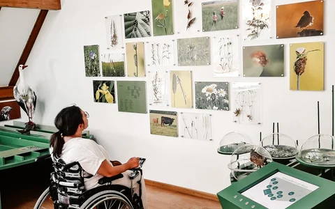 Rheinland-pfälzisches Storchenzentrum Bornheim