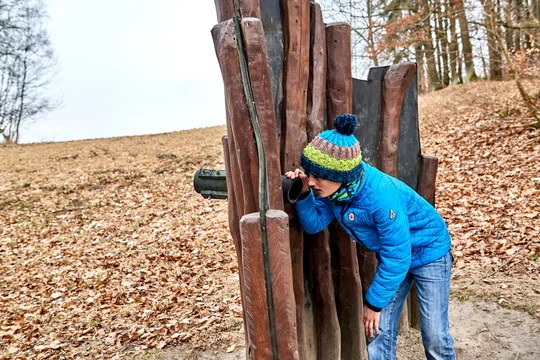 Die Waldhusche lädt zum Entdecken des Waldes mit allen Sinnen ein. Die Waldhusche lädt zum Entdecken des Waldes mit allen Sinnen ein.