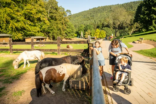 Im Wild- und Wanderpark Silz führt ein barrierefreier Weg zu den Gehegen und Beobachtungsstationen.
