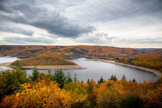 "Eifelblick Schöne Aussicht“ bei Nideggen-Schmidt mit Rursee See umgeben von herbstlich gelb-orange gefärbten Wäldern