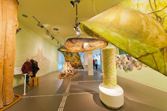 Die Ausstellung „Wildnis(t)räume“ im historischen Forum Vogelsang IP ist nach Reisen für Alle zertifiziert.