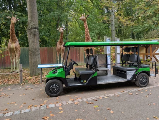 Nimmt auch Rollstuhlfahrer mit: der Rostocker Zoo-Express. Foto: TZRW Rostock Nimmt auch Rollstuhlfahrer mit: der Rostocker Zoo-Express. Foto: TZRW Rostock