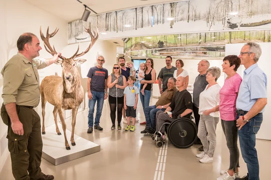 Ranger geben bei einer barrierefreien Führung durch die Ausstellung „Wildnis(t)räume“ im Nationalpark Eifel Einblicke in die Themen Wald, Wasser und Wildnis. Ranger geben bei einer barrierefreien Führung durch die Ausstellung „Wildnis(t)räume“ im Nationalpark Eifel Einblicke in die Themen Wald, Wasser und Wildnis.