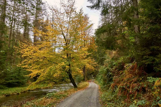 Herbststimmung im Kirnitzschtal in der Sächsischen Schweiz. Herbststimmung im Kirnitzschtal in der Sächsischen Schweiz.