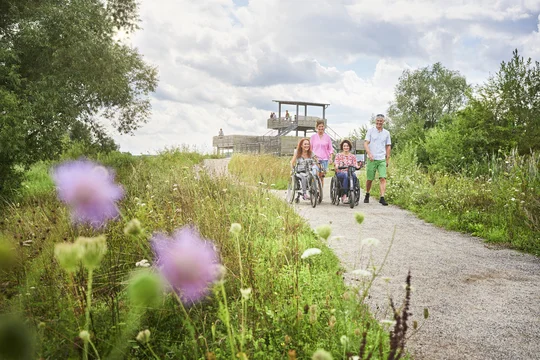 Barrierefreier Rundgang auf der Vogelinsel im Altmühlsee, Foto: TV Fränkisches Seenland / Jens Wegener Barrierefreier Rundgang auf der Vogelinsel im Altmühlsee, Foto: TV Fränkisches Seenland / Jens Wegener