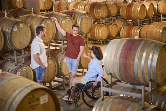 Kellerführung Weingut Bernhard Koch Kellerführung Weingut Bernhard Koch