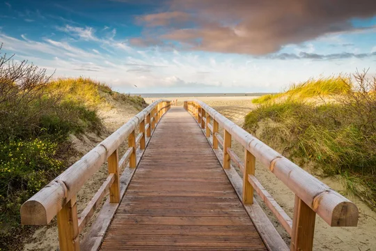 Neue Holzwege führen durch die angelegte Dünenlandschaft zum Strand von Norddeich. Neue Holzwege führen durch die angelegte Dünenlandschaft zum Strand von Norddeich.