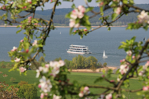 Blühender Kirschbaum mit Fahrgastschiff auf Brombachsee im Hintergrund