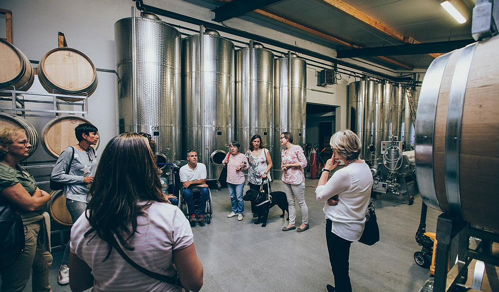 Kellerführung im Wein- und Sekthaus Schreieck in Maikammer.