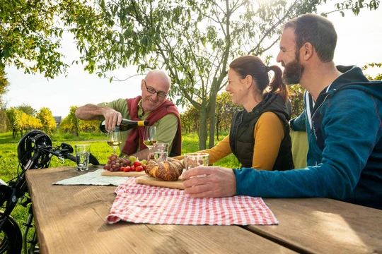Südliche-Weinstraße-Picknick in den Weinbergen Südliche-Weinstraße-Picknick in den Weinbergen