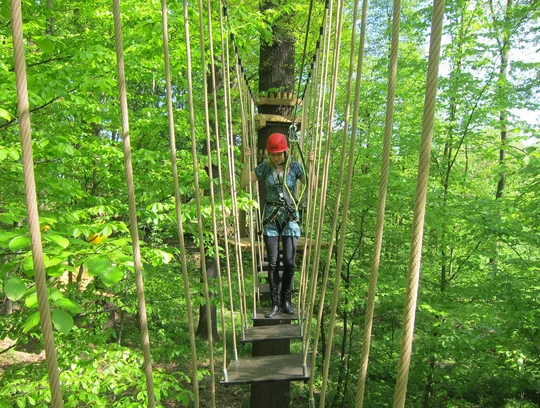 Kletterwald Königstein ein Kletterparcour im Kletterwald Königstein