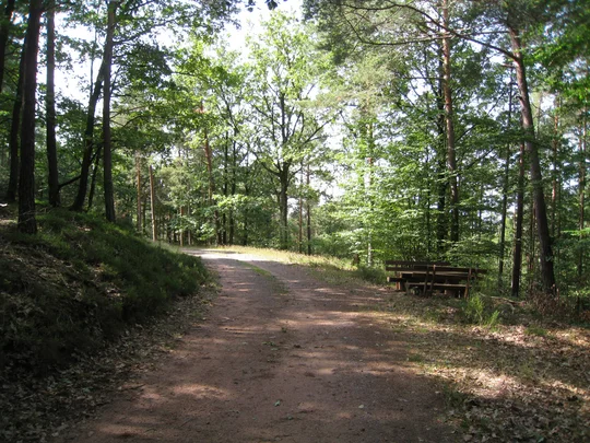 Wanderweg Johannesbrunnen