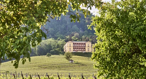 [Translate to English:] 