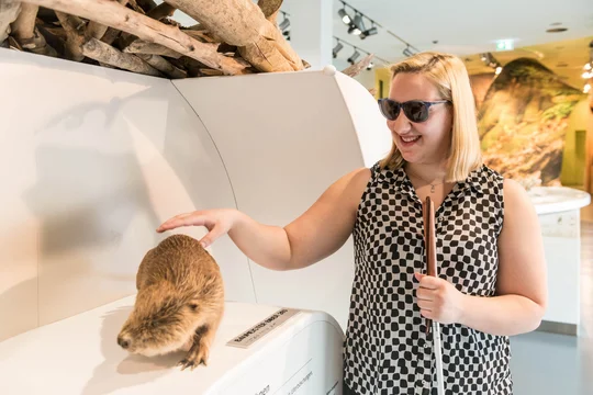 Die Wildnis der Eifel mit allen Sinnen entdecken, dazu lädt die Ausstellung Wildnis(t)räume im Nationalpark-Zentrum Eifel ein. Die Wildnis der Eifel mit allen Sinnen entdecken, dazu lädt die Ausstellung Wildnis(t)räume im Nationalpark-Zentrum Eifel ein.