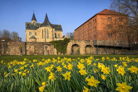 Im Frühling schmückt ein Meer aus Narzissen die Wiese vor dem Kloster UNSER LIEBEN FRAUEN. Foto: MMKKT, A. Gerbel
