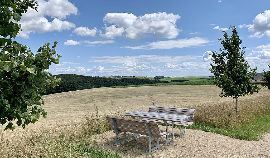 Rastplatz am Rundwanderweg in Ammeldingen bei Neuerburg