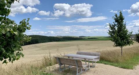 Rastplatz am Rundwanderweg Ammeldingen bei Neuerburg
