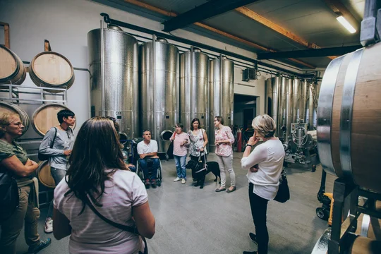 Kellerführung im Wein- und Sekthaus Schreieck in Maikammer. Kellerführung im Wein- und Sekthaus Schreieck in Maikammer.