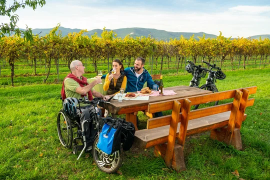 Picknick Biblischer Weinpfad Picknick Biblischer Weinpfad