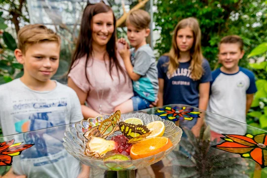 Der Besuch im Schmetterlingshaus im Elbauenpark Magdeburg ist ein unvergessliches Erlebnis für Familien.