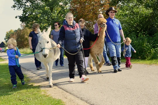 Eseltrekking im Fränkischen Seenland Eseltrekking im Fränkischen Seenland, Kinder und Begleitpersonen führen Esel spazieren