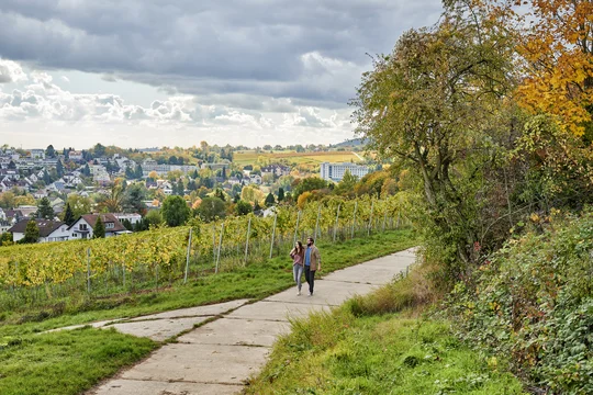 Bewegungsstationen auf dem Kneipplehrpfad in Bad Bergzabern, Foto: Florian Trykowski/ Rheinland-Pfalz Tourismus GmbH Bewegungsstationen auf dem Kneipplehrpfad in Bad Bergzabern, Foto: Florian Trykowski/ Rheinland-Pfalz Tourismus GmbH