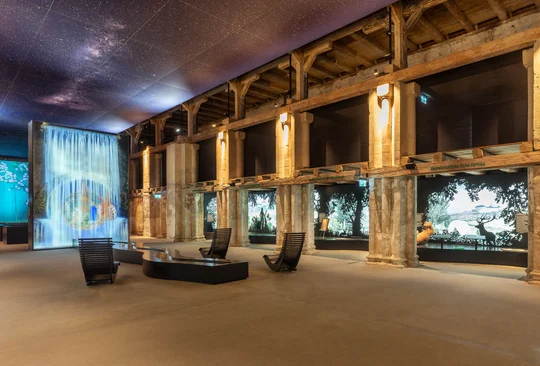 Die Ausstellung "Paradiesgärten - Gartenparadiese" ist in der Peterskirche auf dem oberen Plateau der Zitadelle Petersberg zu sehen. Die Ausstellung "Paradiesgärten - Gartenparadiese" ist in der Peterskirche auf dem oberen Plateau der Zitadelle Petersberg zu sehen.