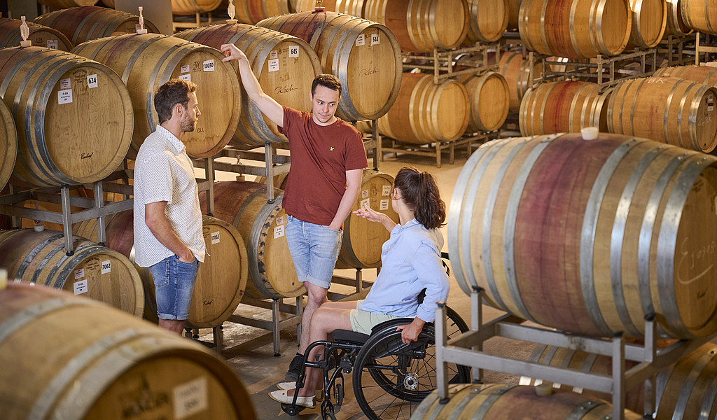 Kellerführung Weingut Bernhard Koch