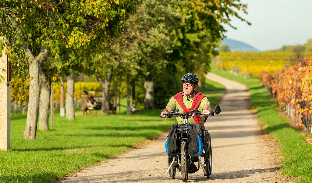 Der Biblische Weinpfad führt über ebene Wege, die auch mit dem Handbike befahren werden können.© Dominik Ketz, Pfalz Touristik e.V. Der Biblische Weinpfad führt über ebene Wege, die auch mit dem Handbike befahren werden können.