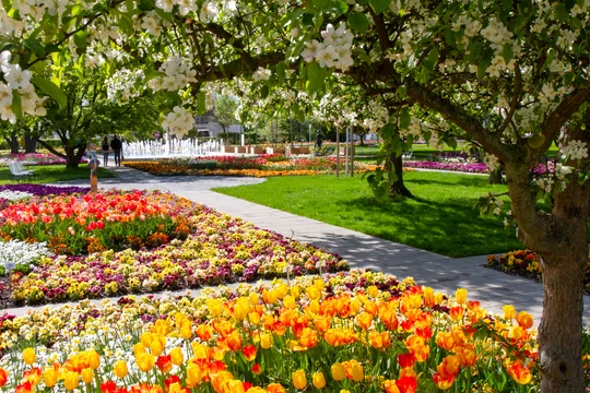 Blumenbeete im egapark zur BUGA 2021 Blumenbeete im egapark zur BUGA 2021