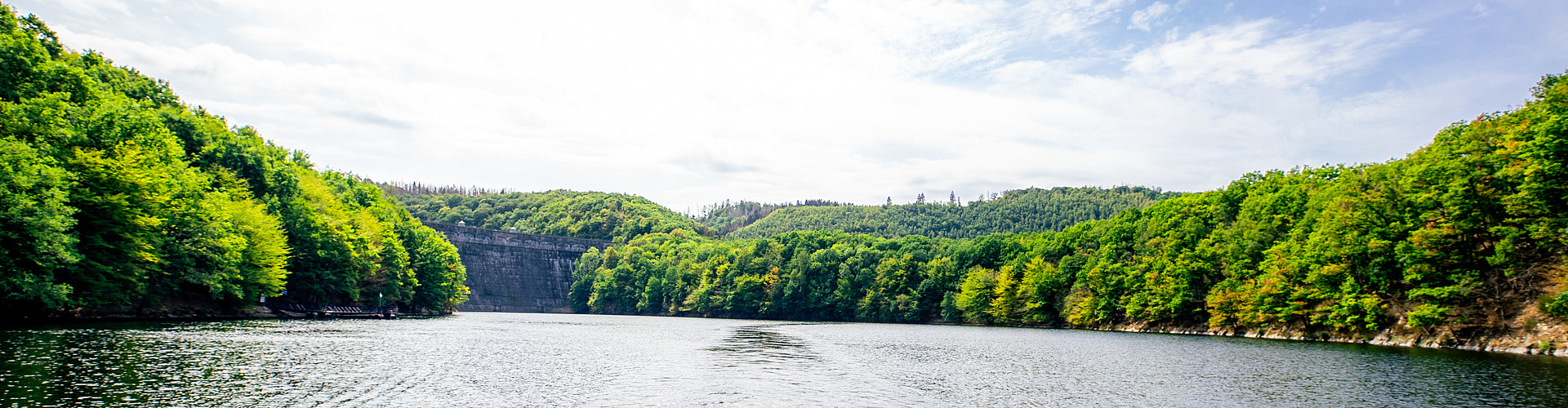 Vom Schiff auf dem Rursee hat man gute Sicht auf den Nationalpark Eifel.